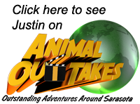 Animal Outtakes