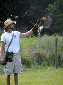 Justin Matthews of Matthews Wildlife Rescue