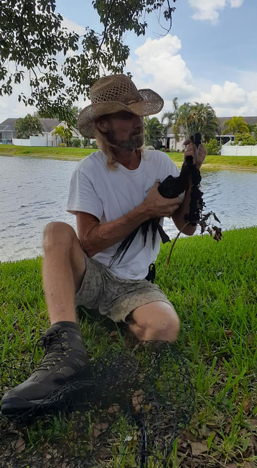 Wildlife Rescue Bradenton Sarasota Florida