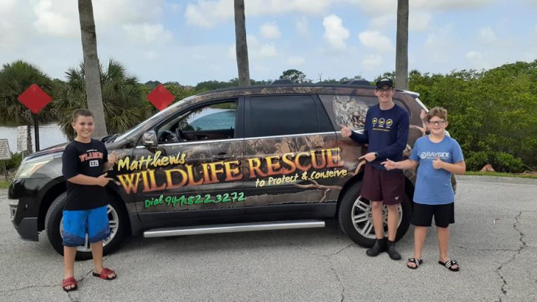 Wildlife Rescue Bradenton Sarasota Florida | Matthews Wildlife Rescue