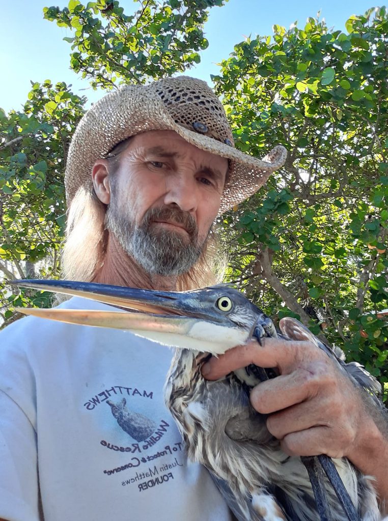 Wildlife Rescue Bradenton Sarasota Florida | Matthews Wildlife Rescue