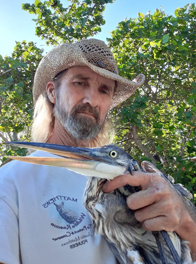 Wildlife Rescue Bradenton Sarasota Florida | Matthews Wildlife Rescue
