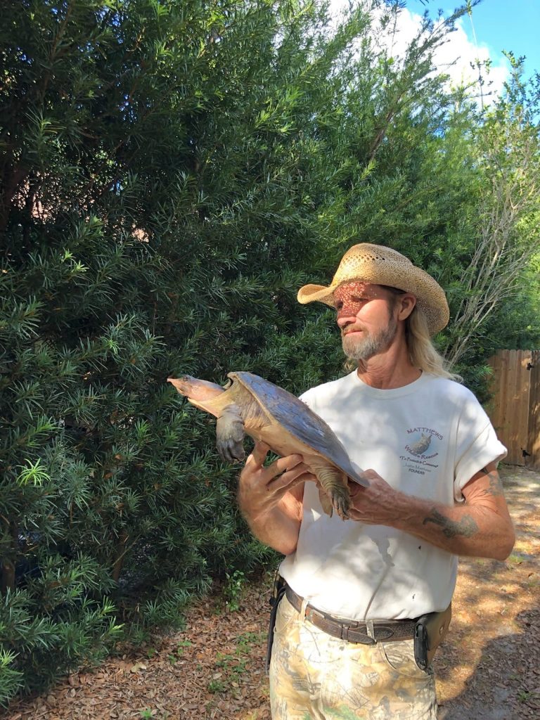 Wildlife Rescue Bradenton Sarasota Florida | Matthews Wildlife Rescue