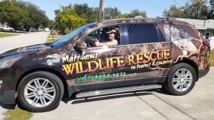 Wildlife Rescue Bradenton Sarasota Florida