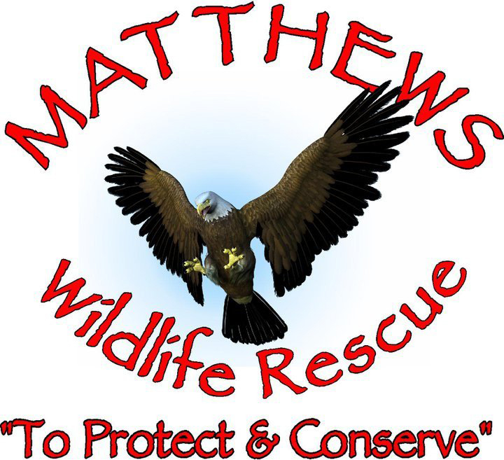 Matthews Wildlife Rescue